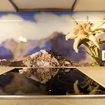Flat In Near The Area